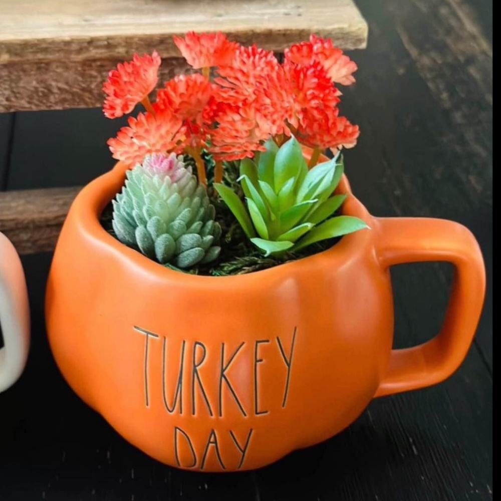 Rae Dunn Turkey Day Mug Mini Succulent Garden